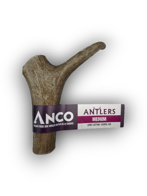 Anco Antler Medium