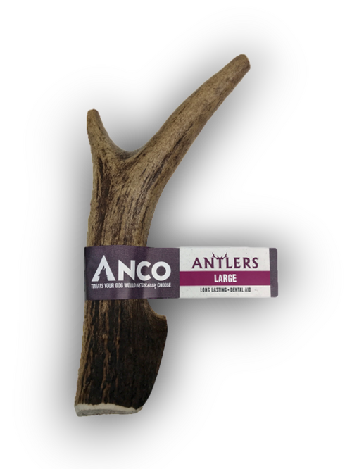 Anco antler Extra large